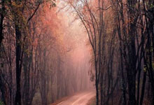 开云体育在线-武切维奇，当巴尔干风暴席卷天山，一个巨人的篮球哲学正在重塑疆辽之争